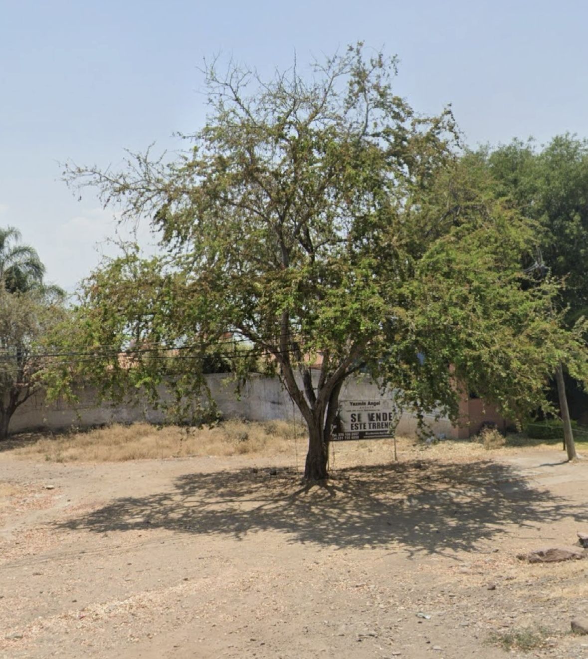 2 de 7: Terreno en venta en Chapala
