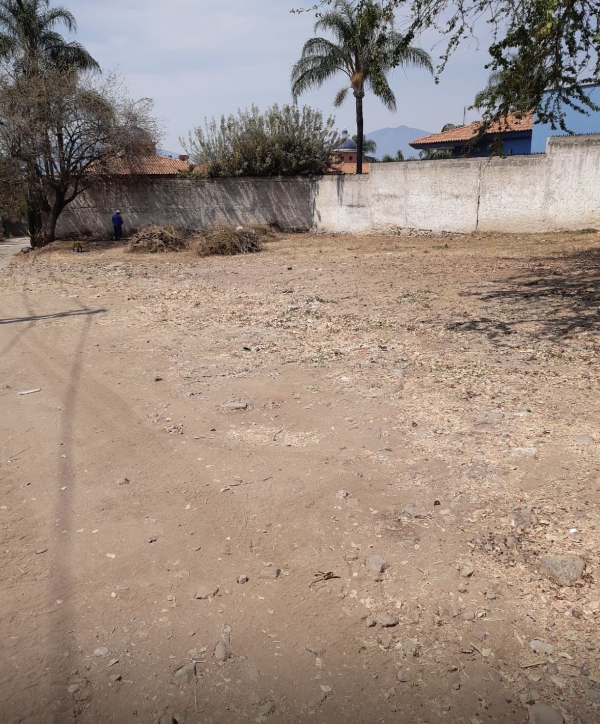4 de 7: Terreno en venta en Ajijic