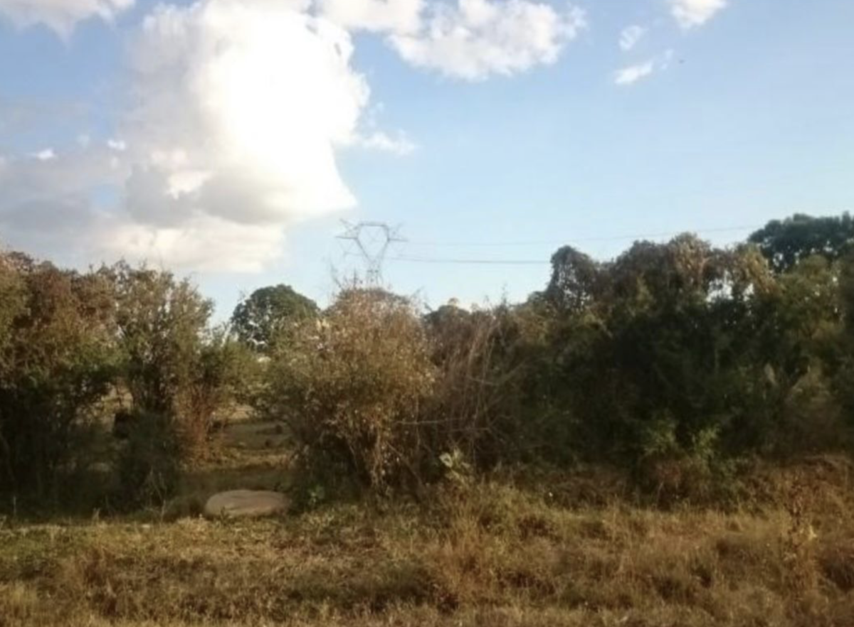 5 de 7
