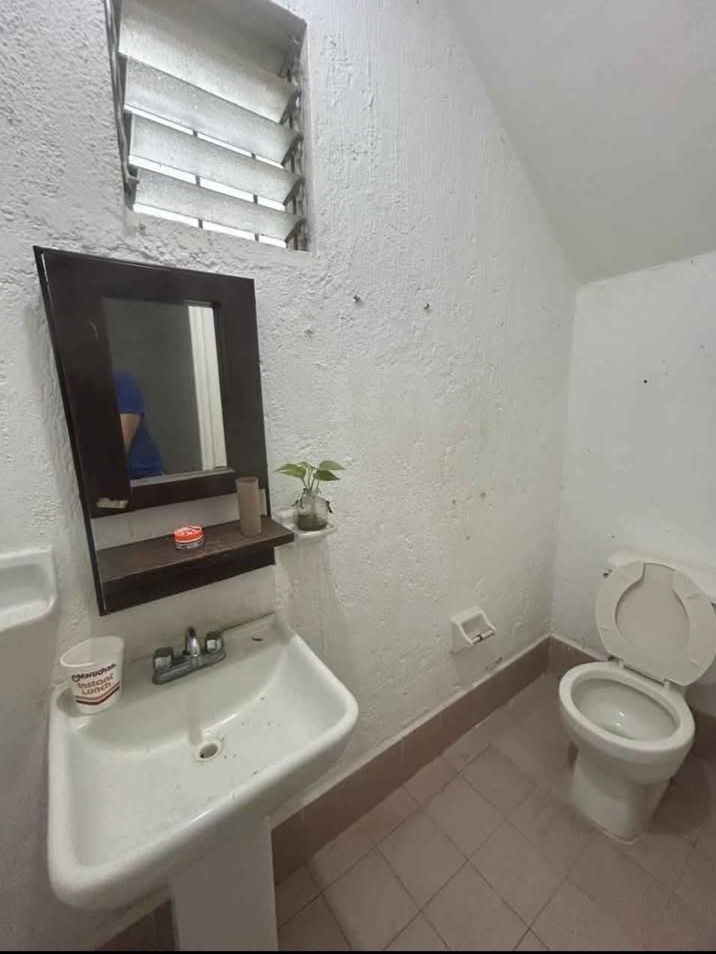 6 de 13