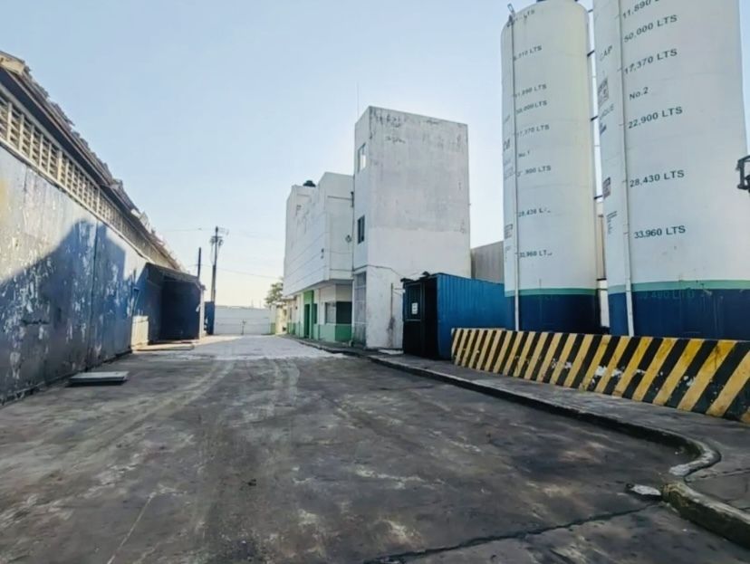 Imagen 5 de 6