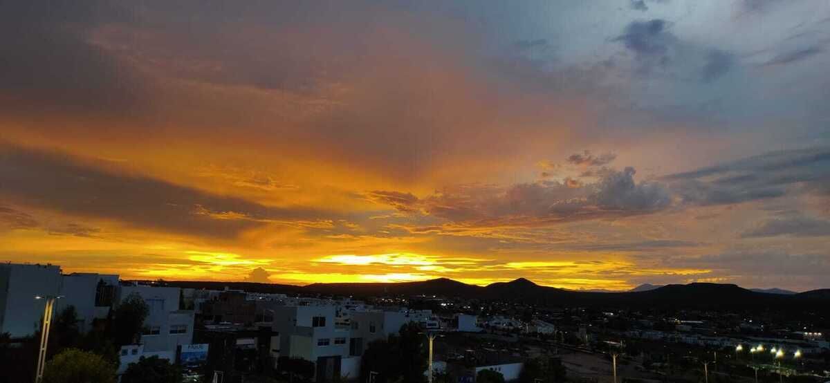 29 de 51