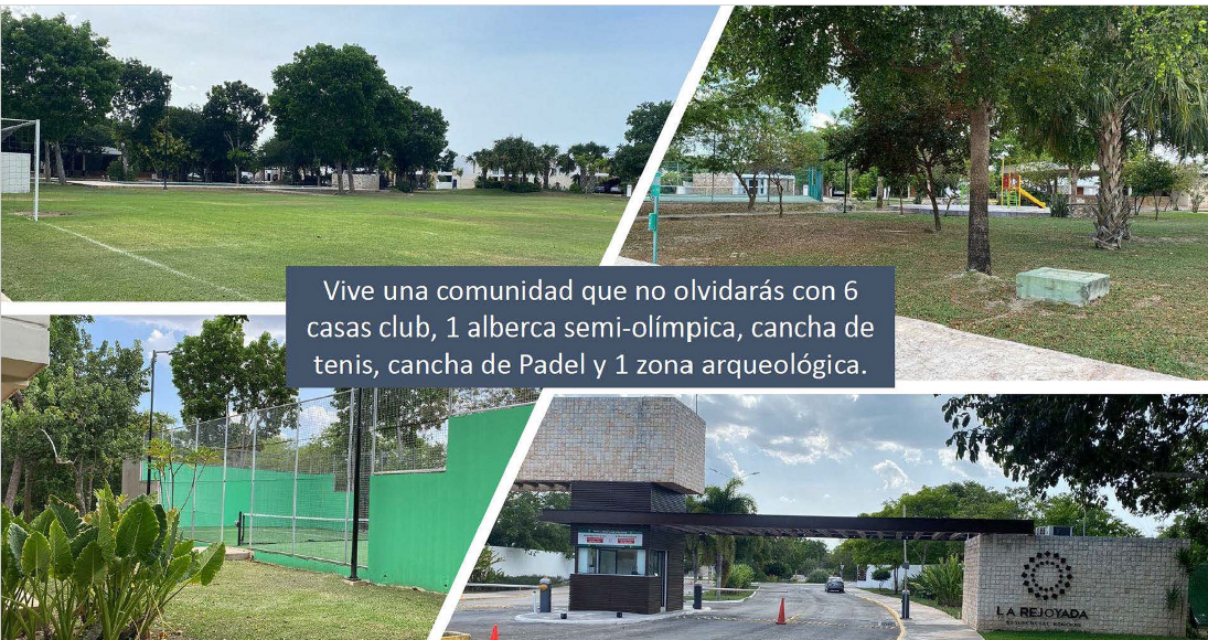 3 de 12