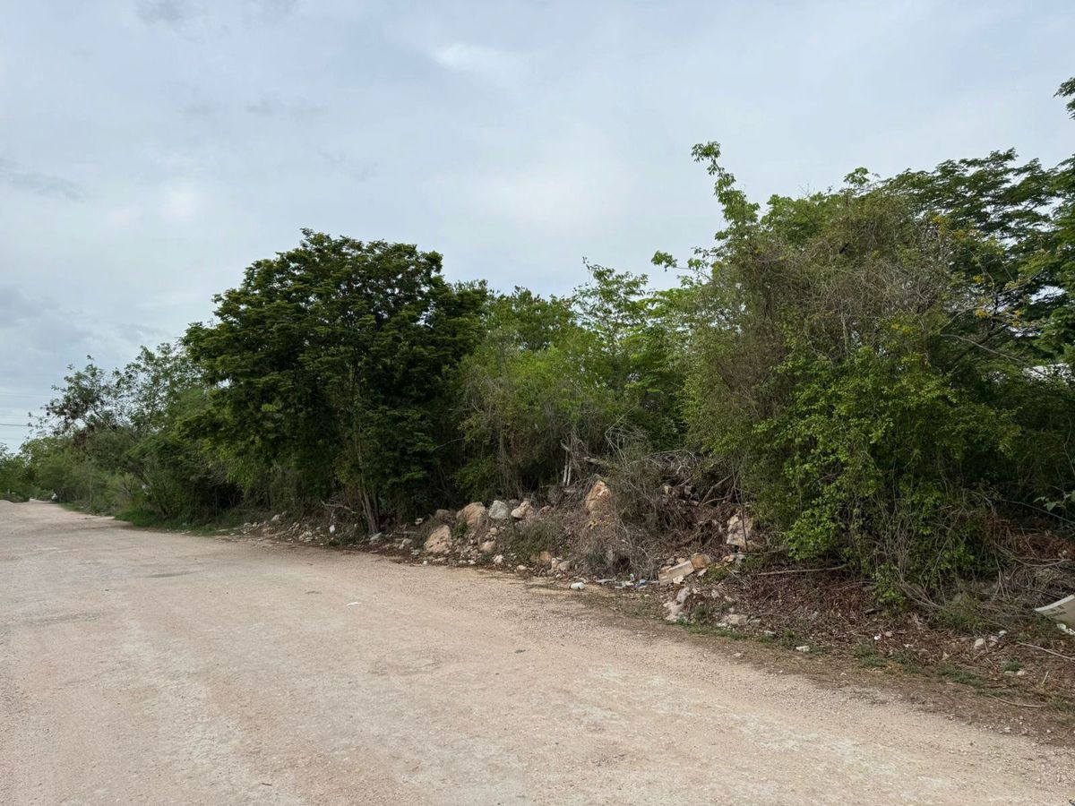 3 de 5