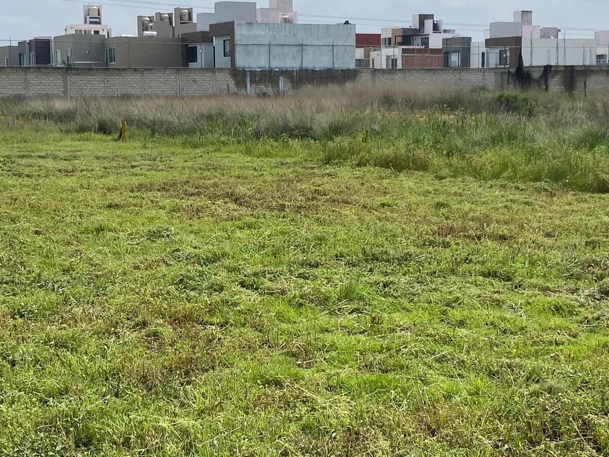 Imagen 2 de 4