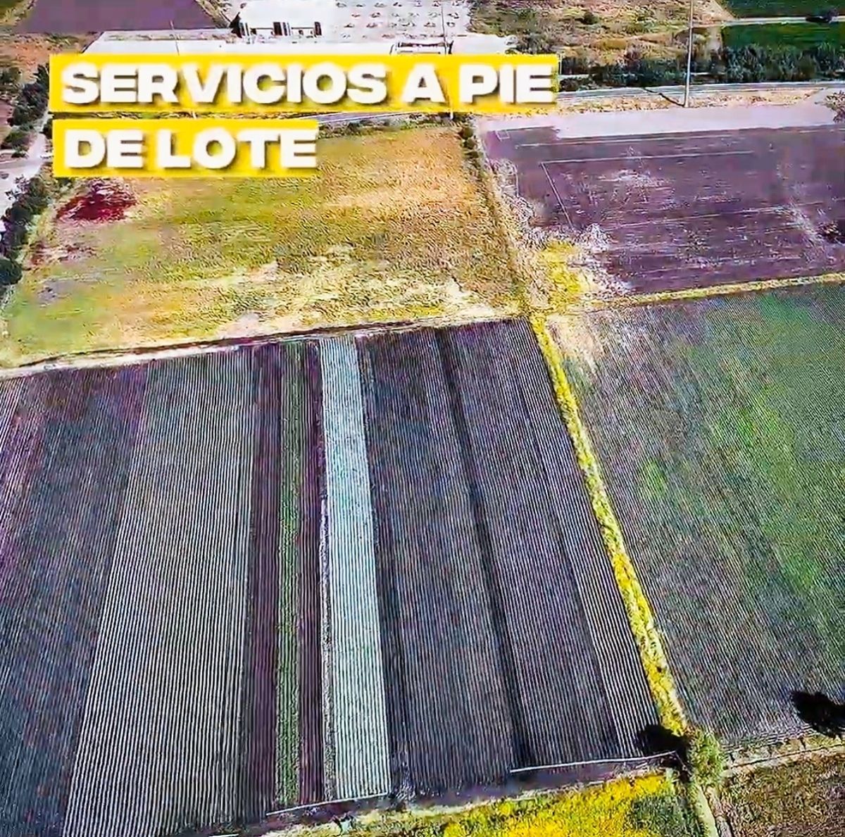 7 de 16