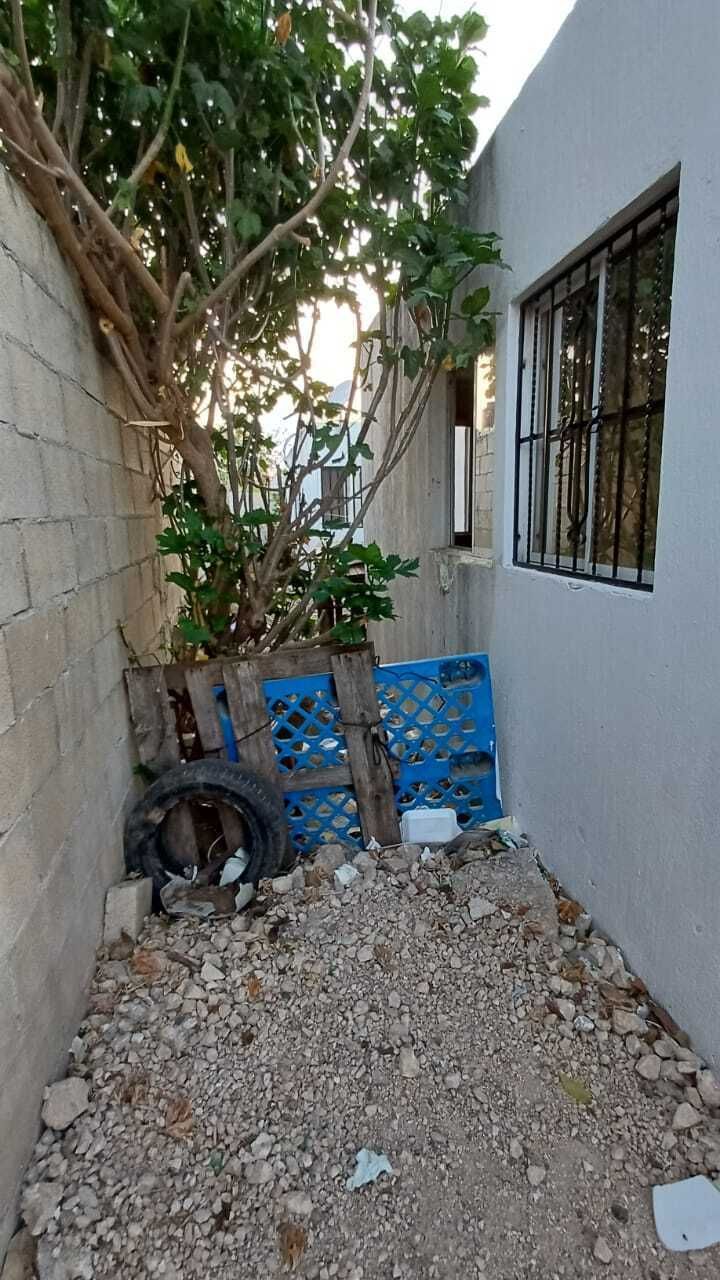 9 de 16