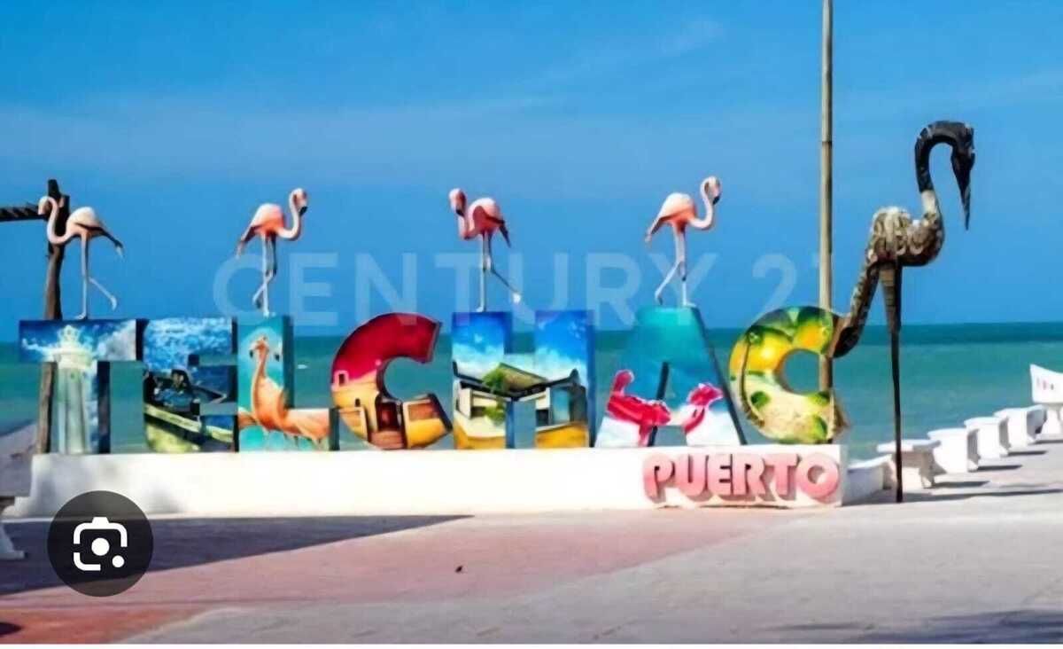 1 de 4