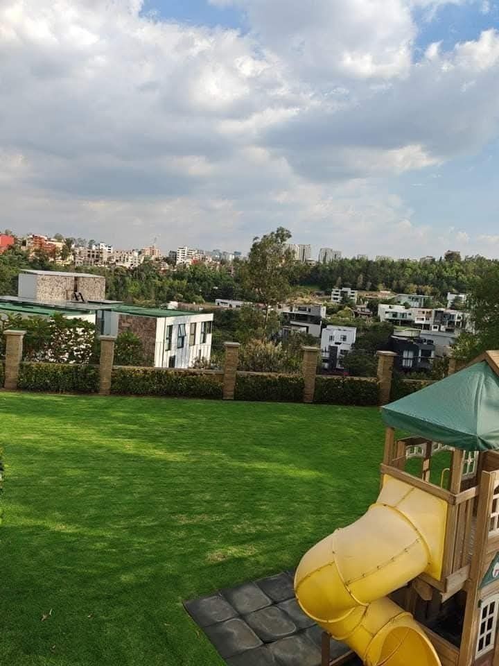 5 de 31