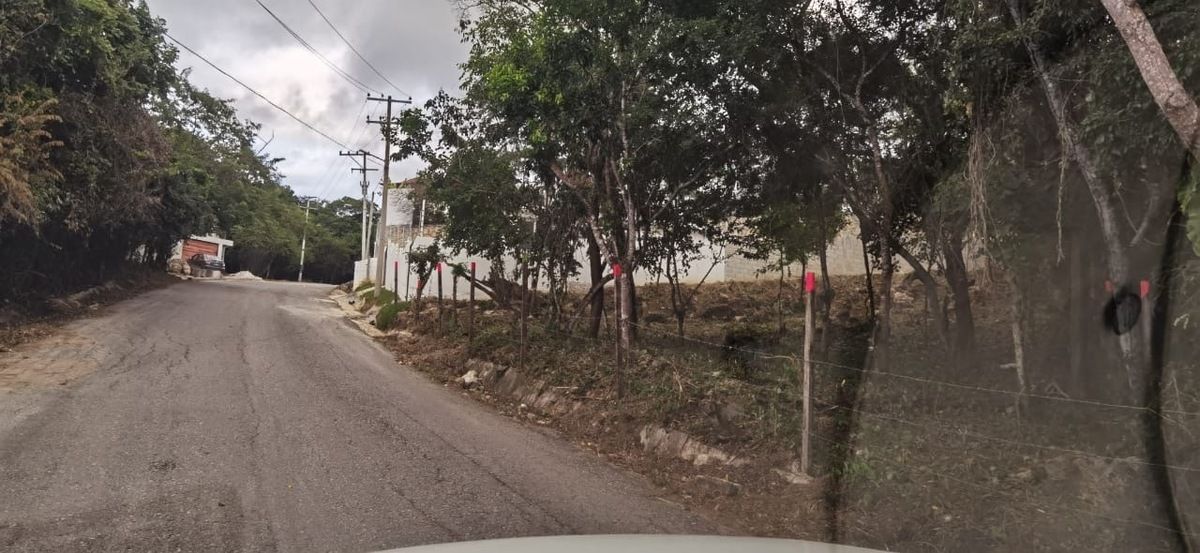 6 de 10