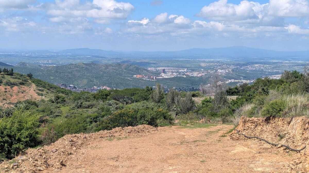 23 de 43