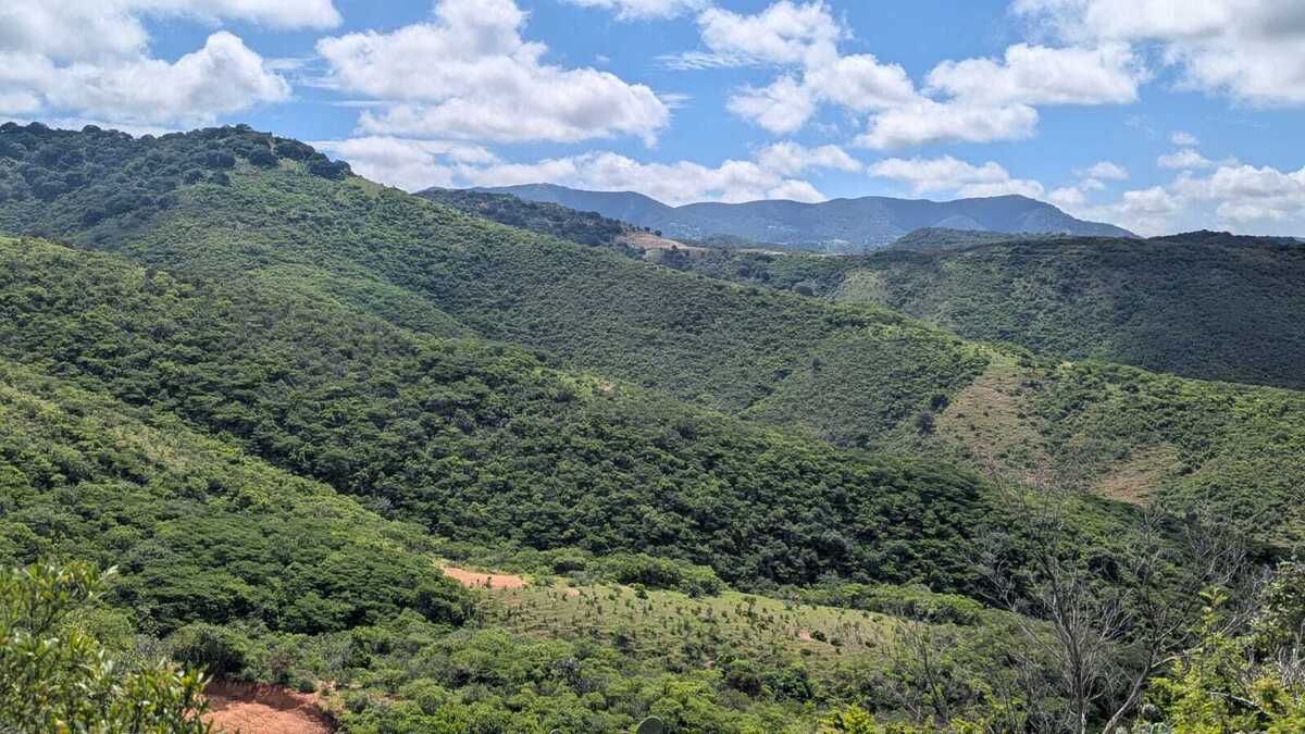 30 de 43