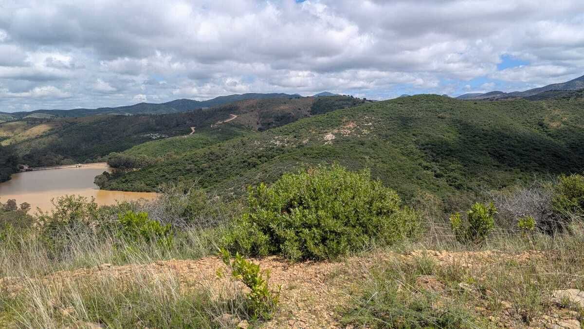 36 de 43
