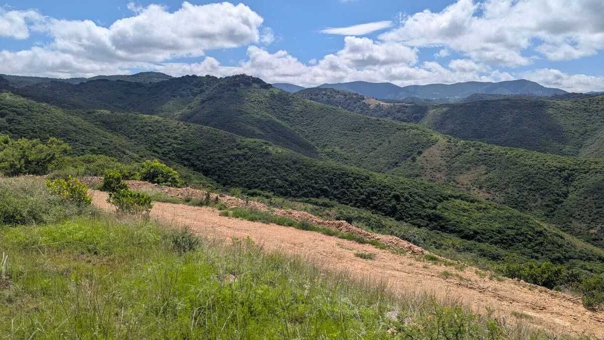 37 de 43