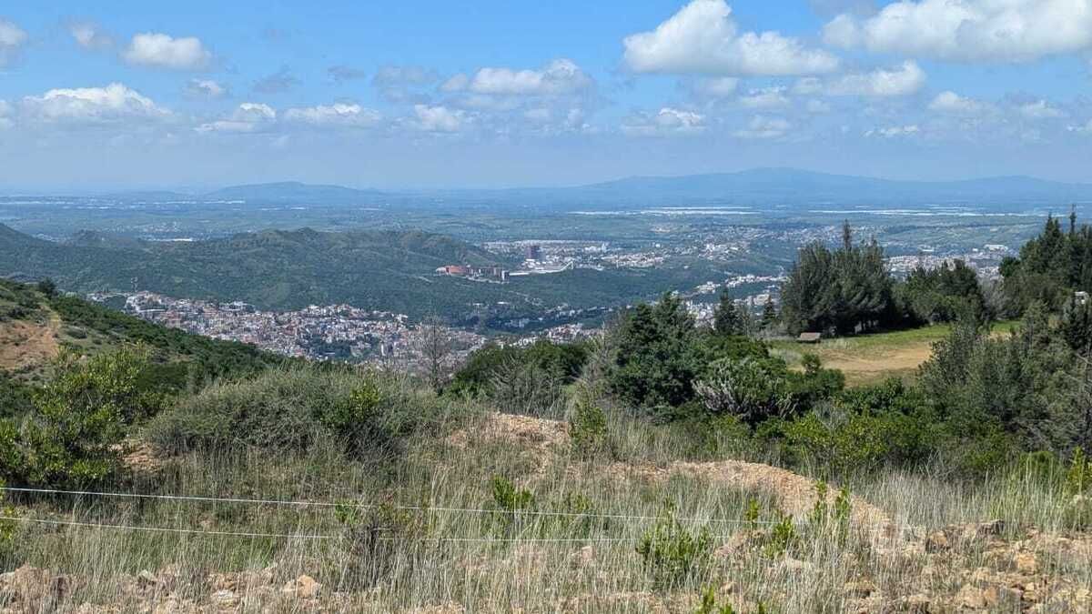 1 de 43