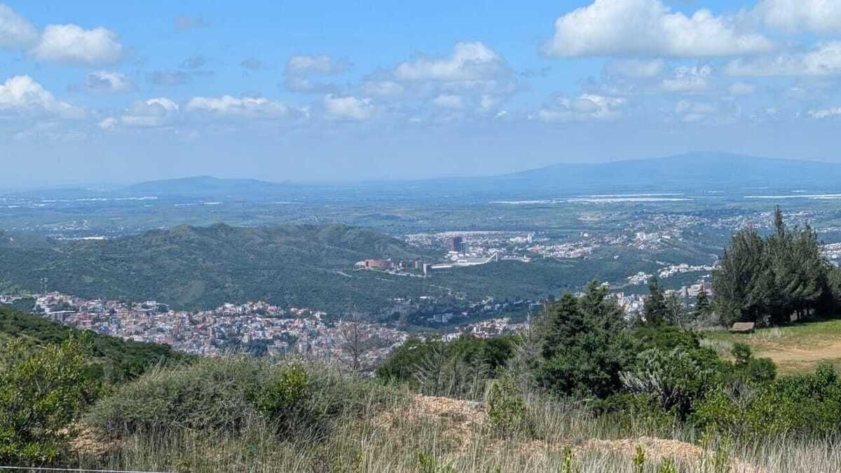 42 de 43