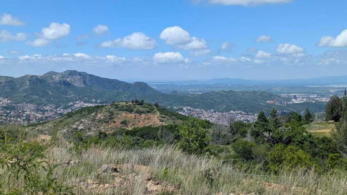 43 de 43