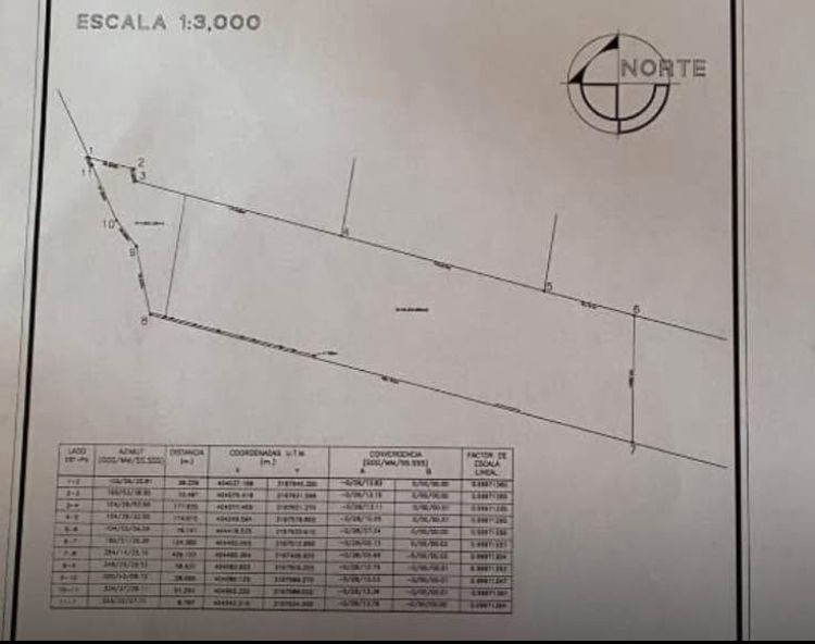 Imagen 3 de 5