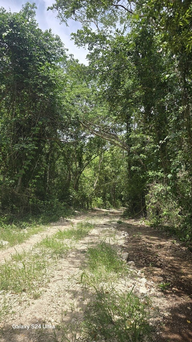10 de 19: Otra área del camino de acceso