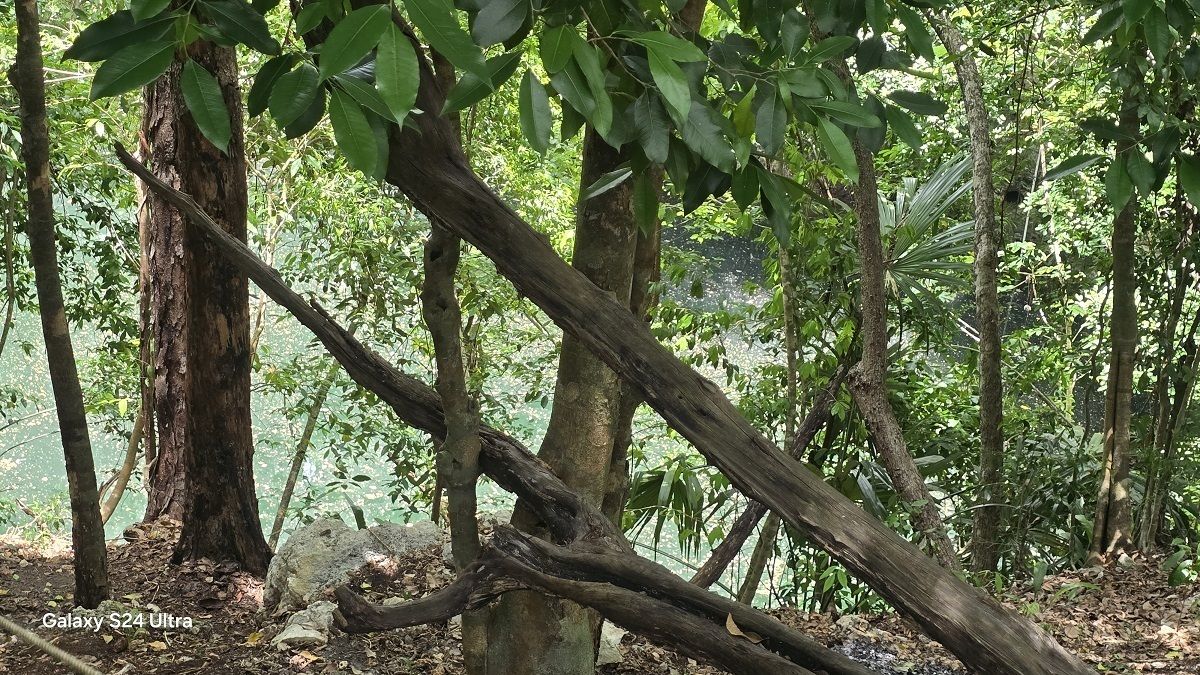 12 de 19: Otra vista del cenote, donde esta el acceso