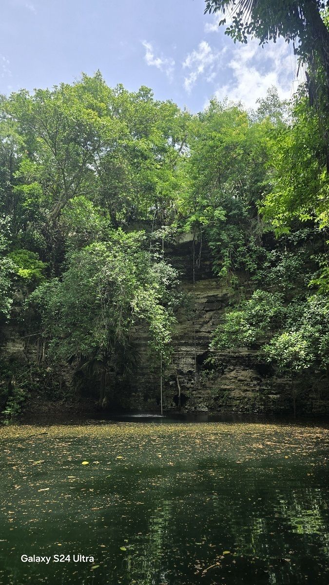 2 de 19: Parte de las paredes laterales del cenote
