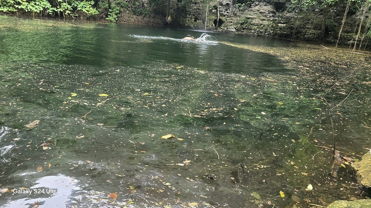 4 de 19: Diámetro del cenote 45 mts, agua profunda