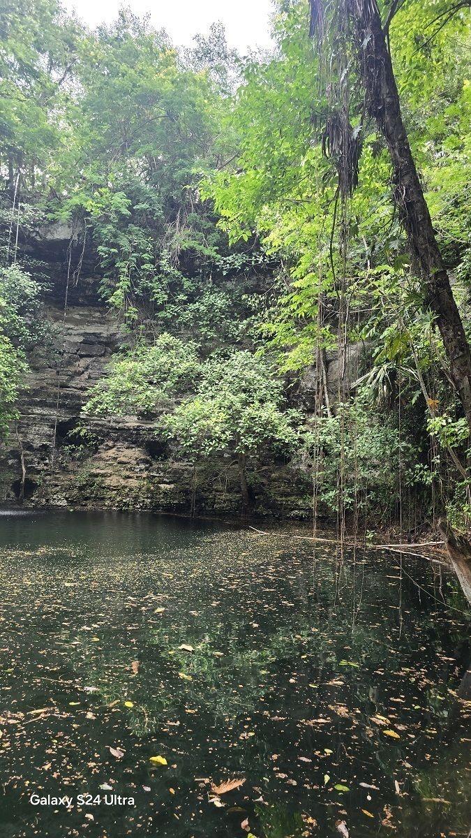 5 de 19: Vista del cenote con mucha vegetación