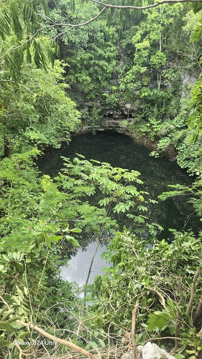 7 de 19: Vista del cenote desde arriba
