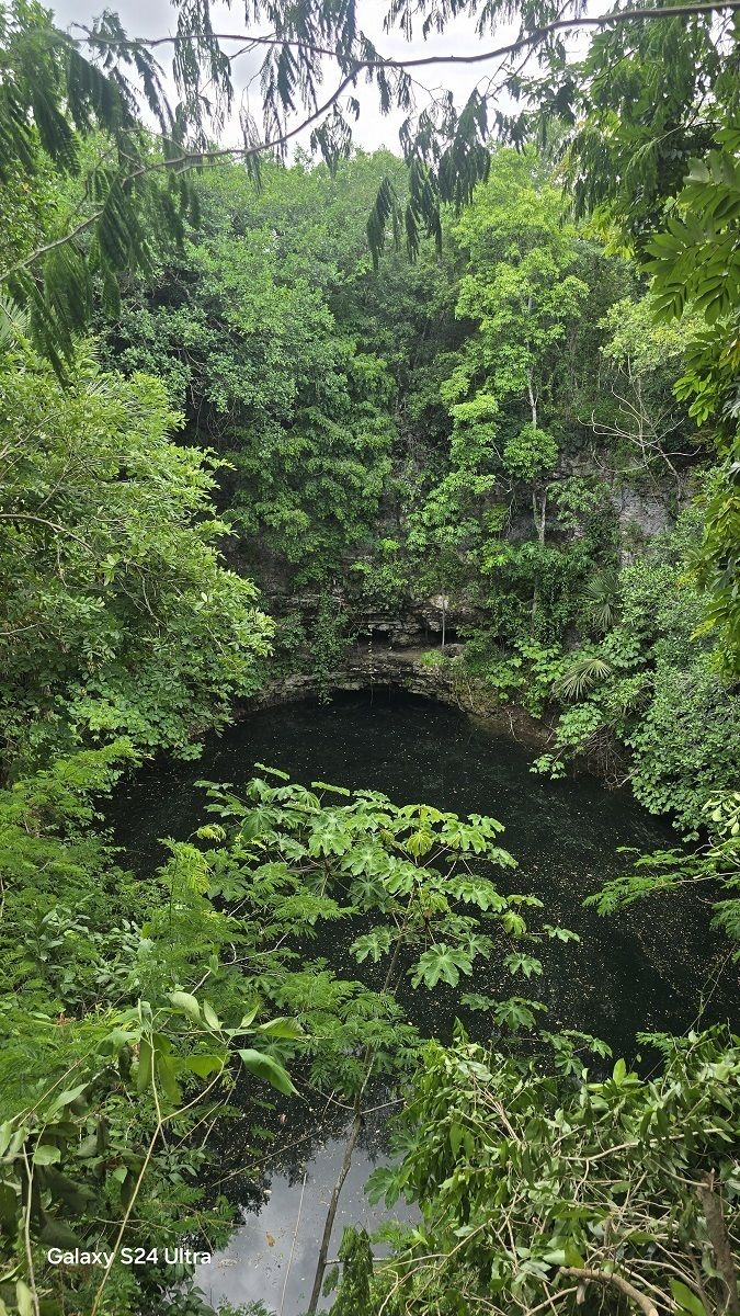 8 de 19: Otra vista del cenote desde arriba