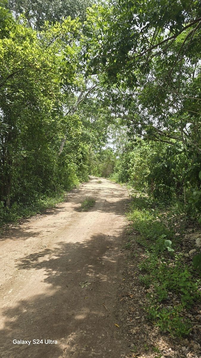 19 de 19: Mas vistas sobre el acceso