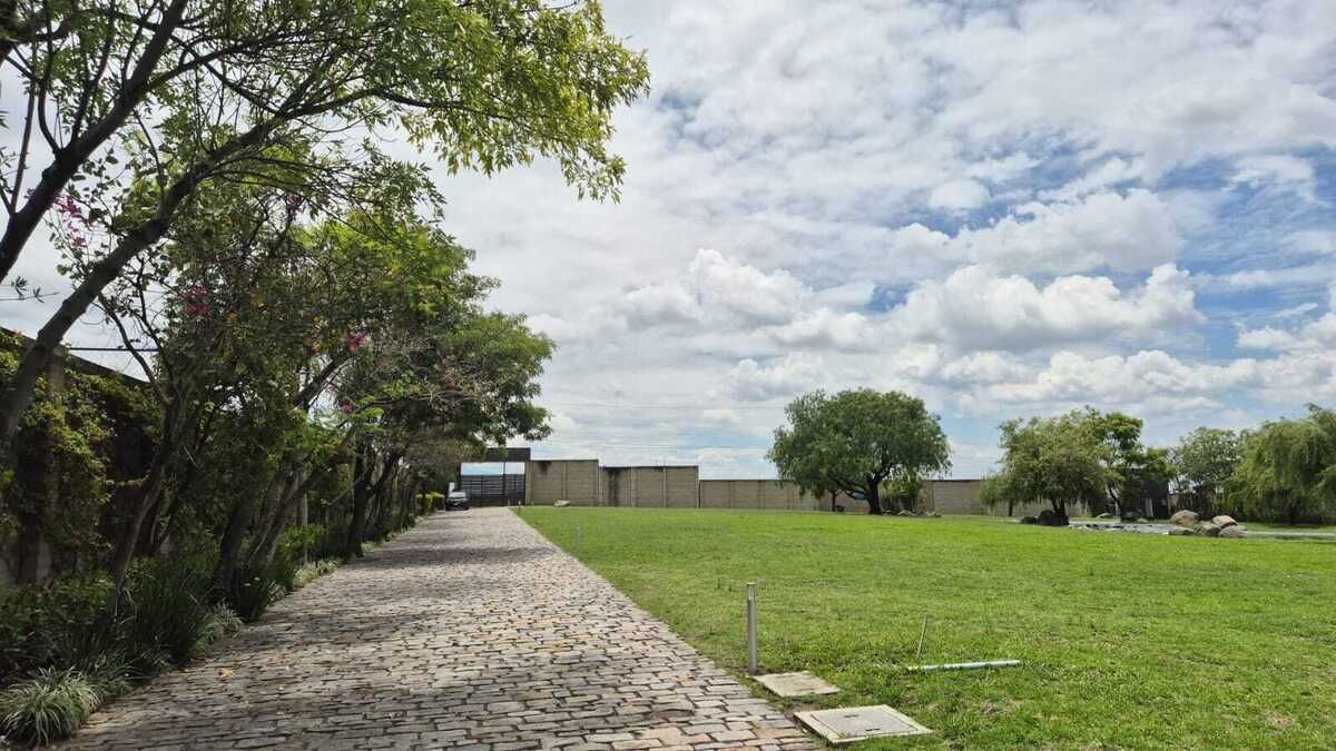 4 de 9