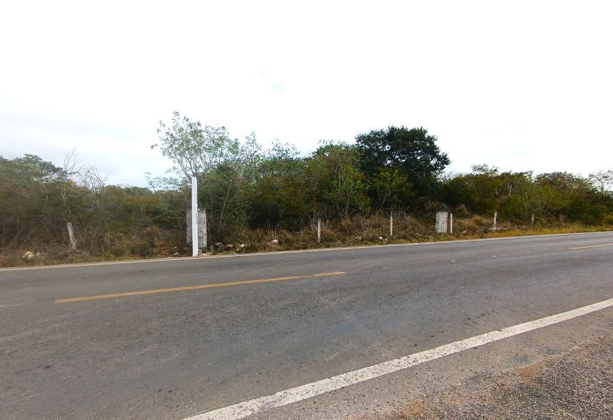 4 de 11