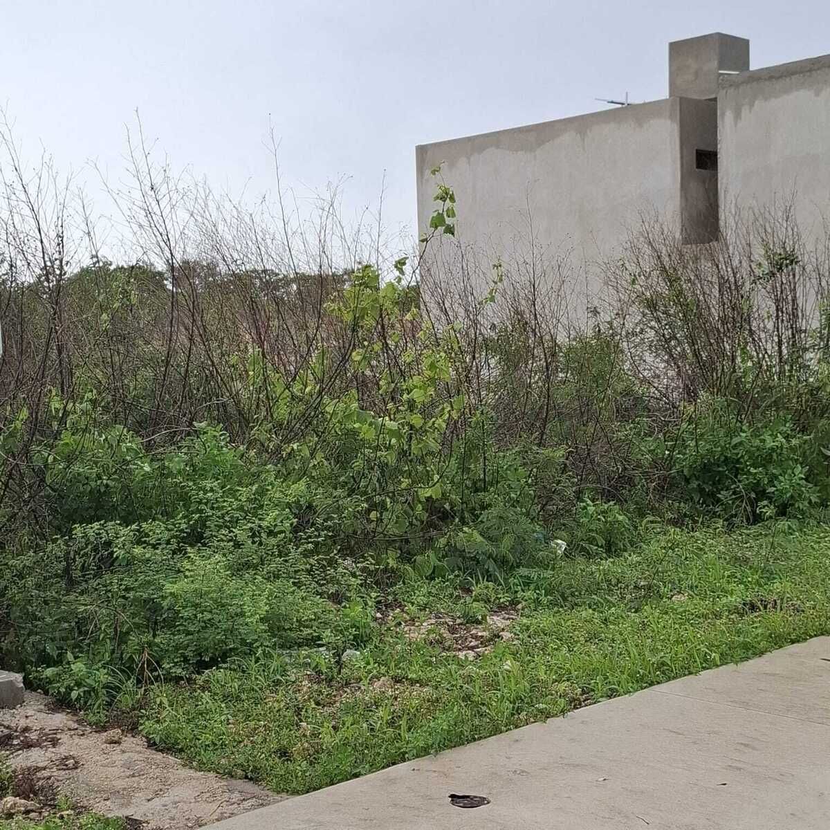 1 de 4