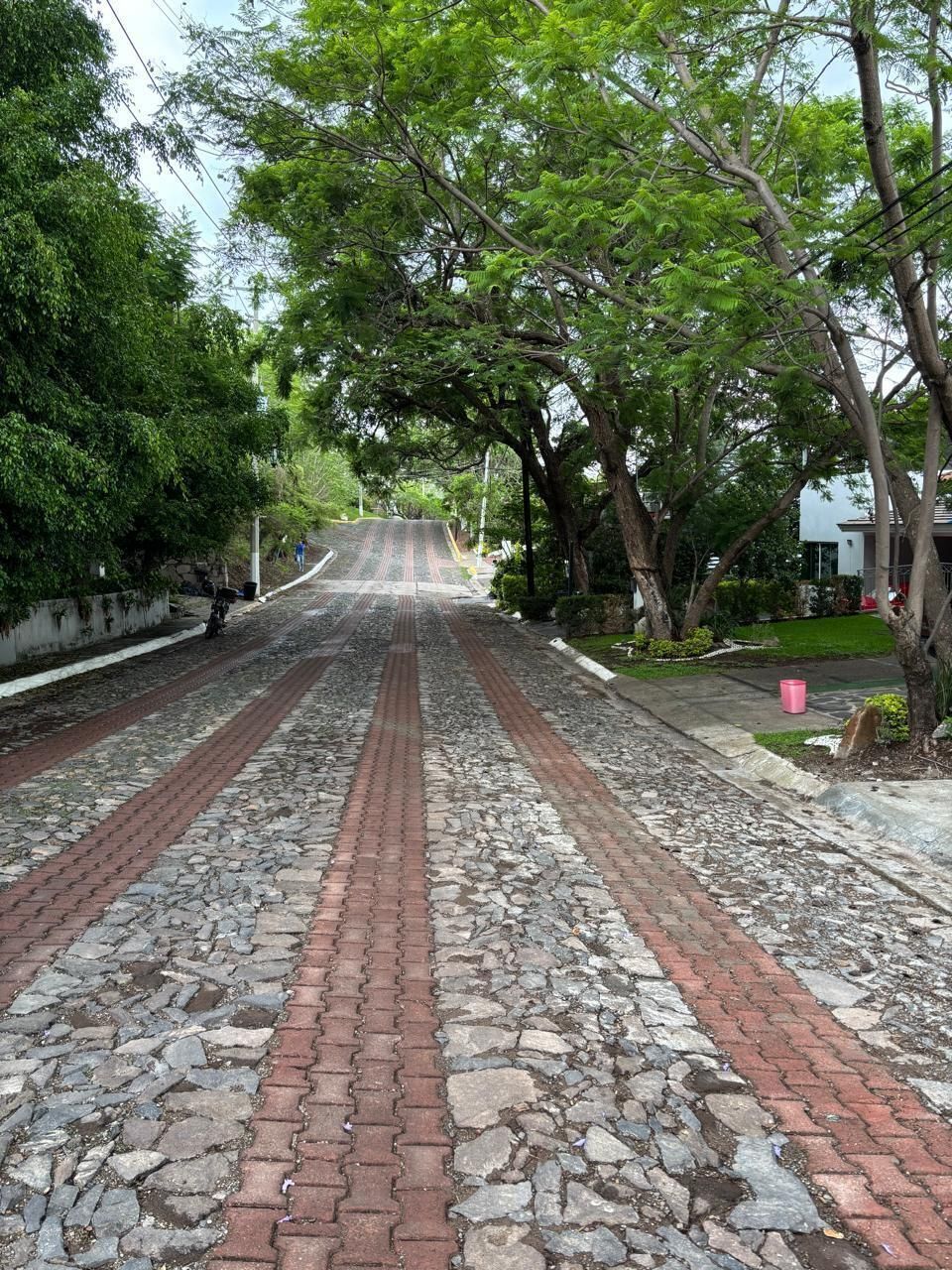 3 de 42