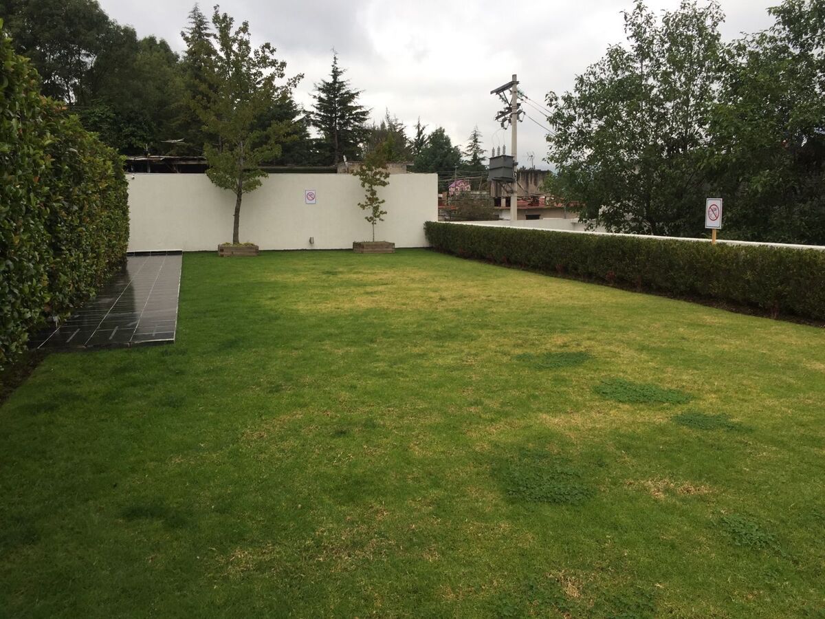 1 de 18: Jardin común