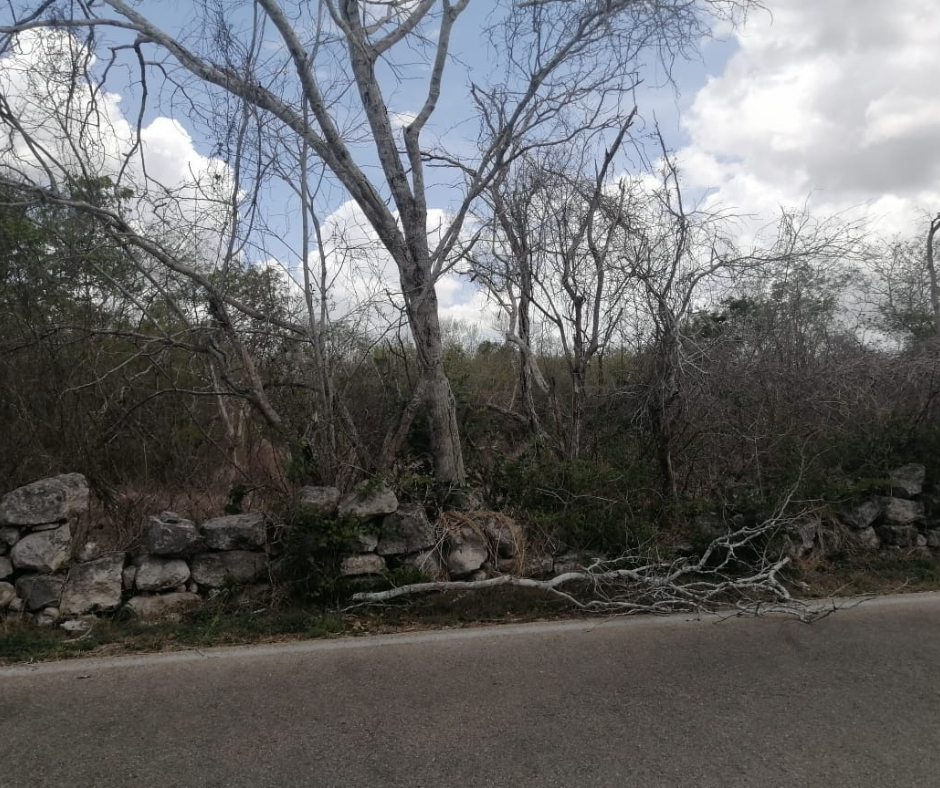 1 de 2