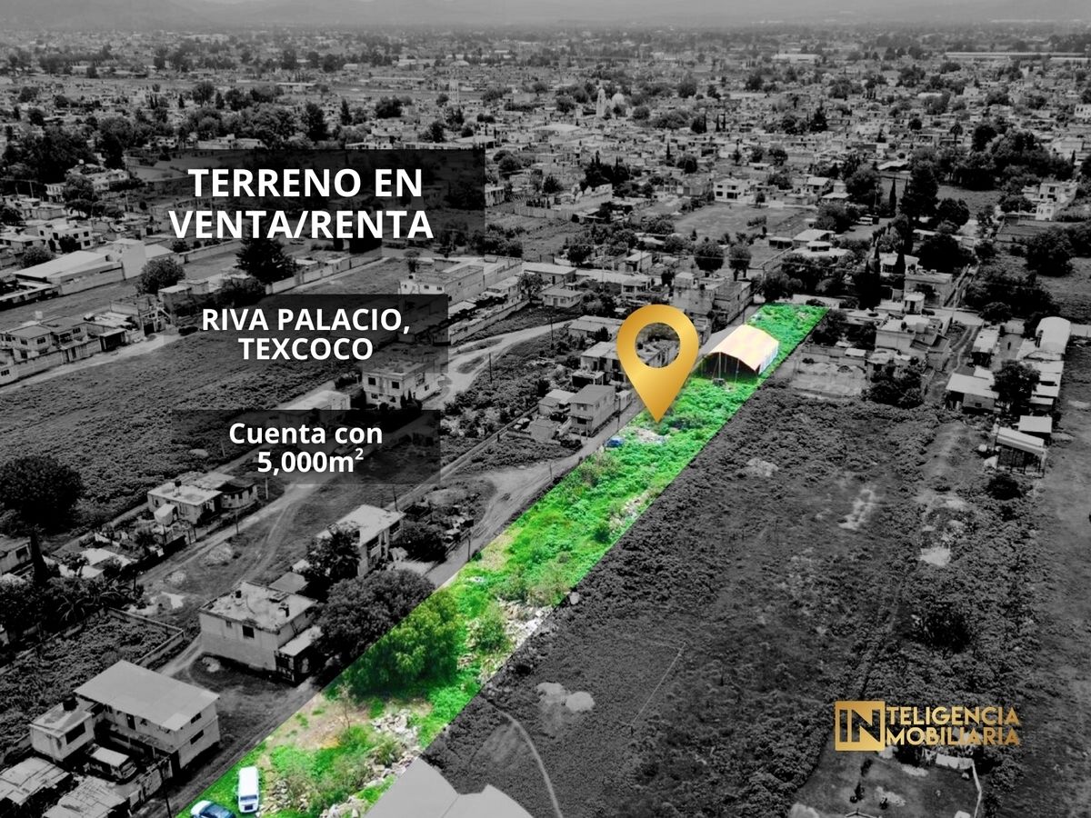 Imagen 3 de 10