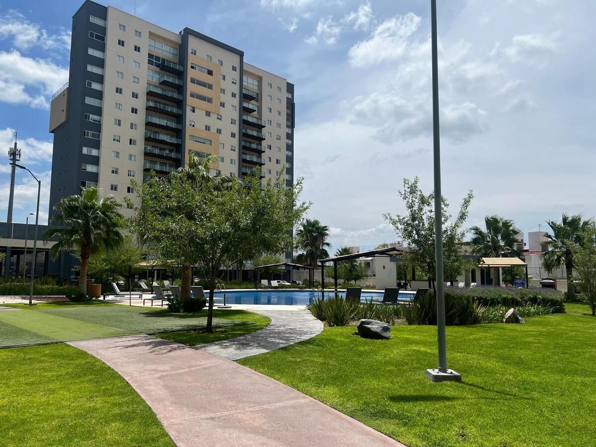 1 de 24