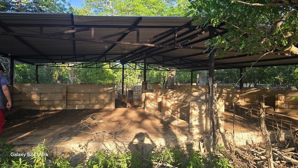 25 de 28: Corral con techo para los borregos