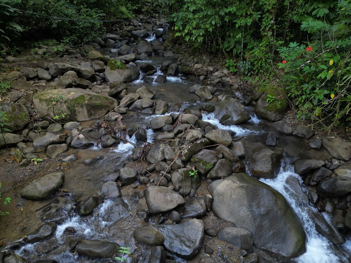 1 de 39