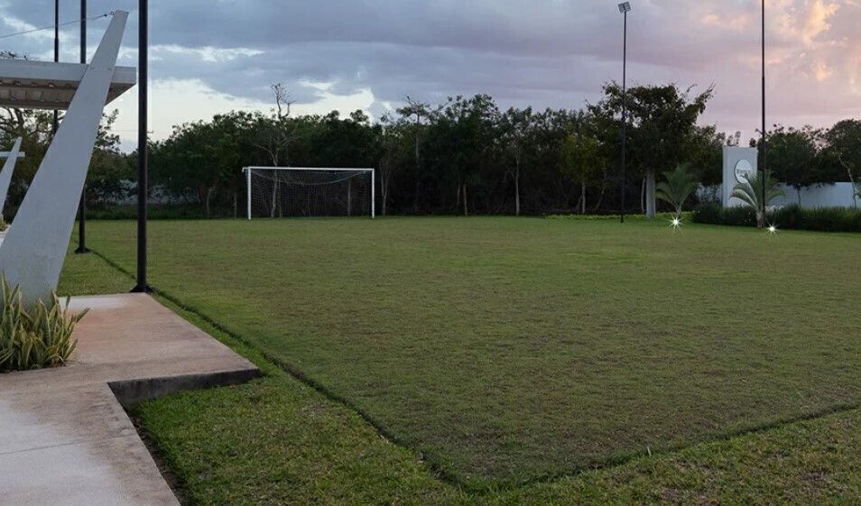 28 de 33