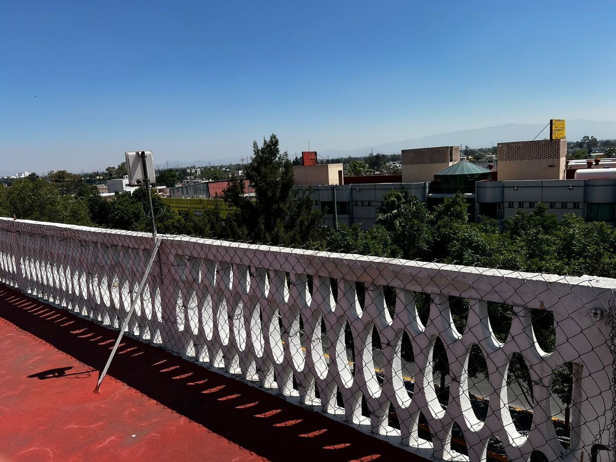 10 de 31