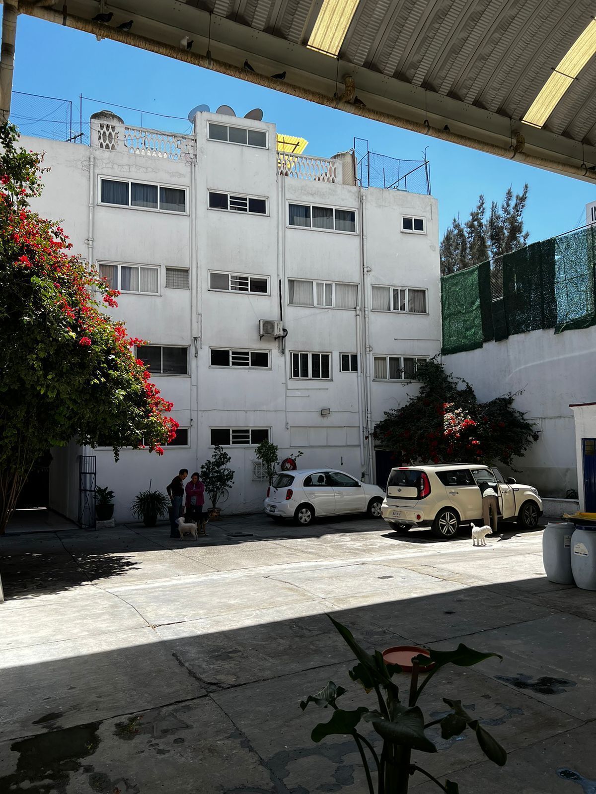 29 de 31