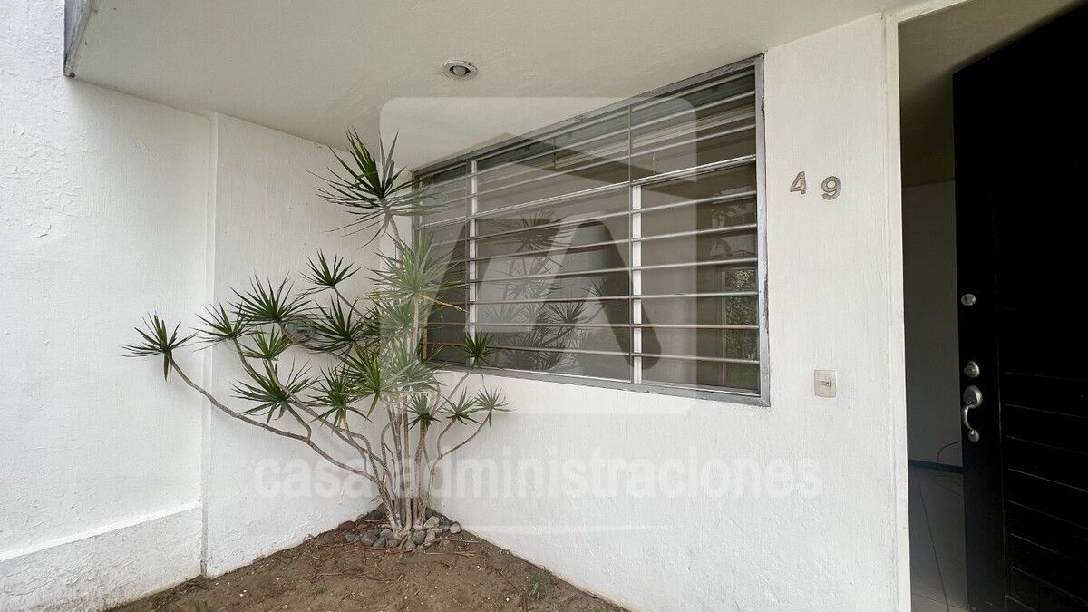 Imagen 7 de 10