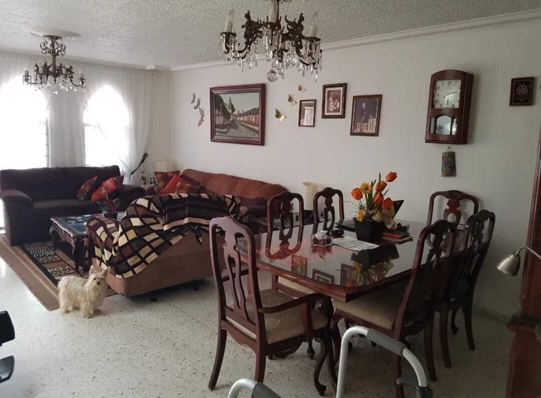 6 de 24