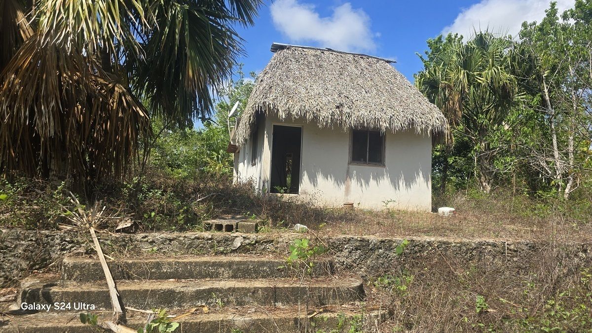 9 de 28: Casa de techo de palma