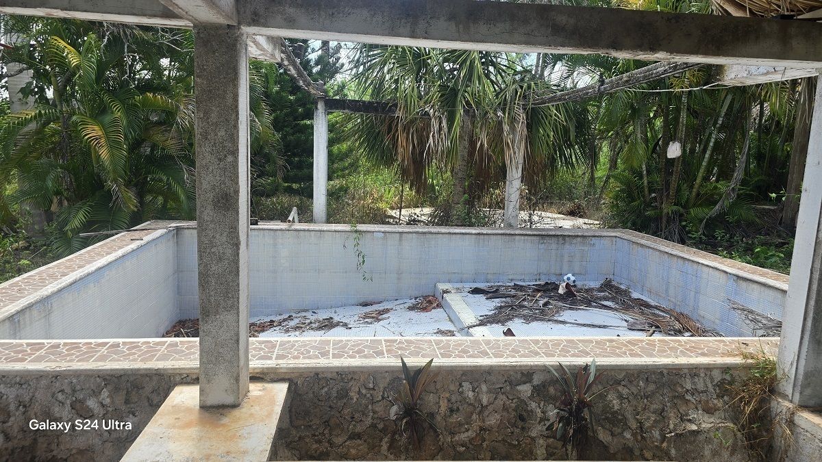 8 de 28: Piscina de la casa