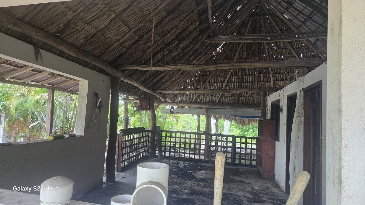 15 de 28: Vista de la palapa de la casa