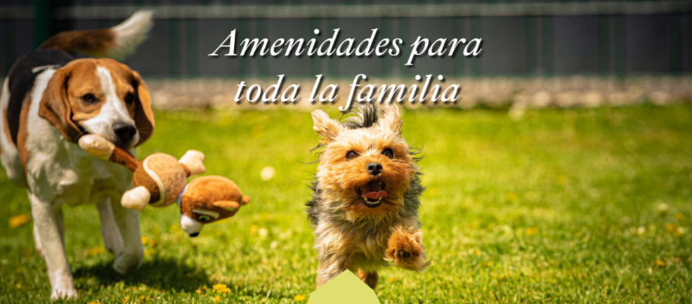 21 de 21