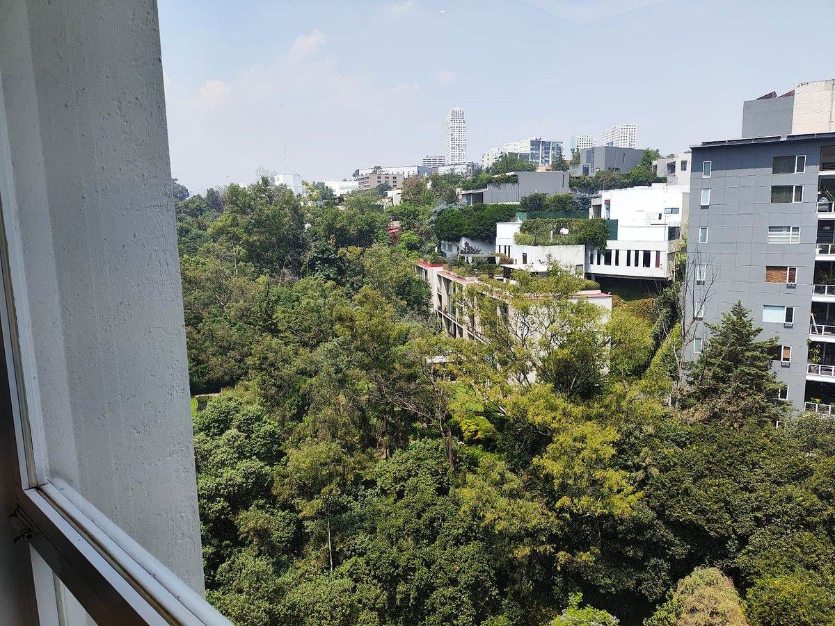 Departamento en Lomas de Bezares, Miguel Hidalgo, foto 30 de 50